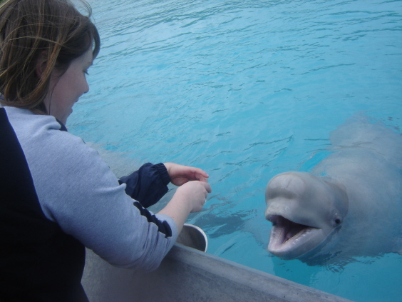marinelandontario040.jpg